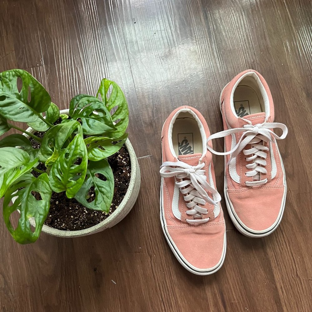 Pink Low Rise Vans Old Skool Skater Shoes